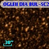 OGLEII DIA BUL-SC29    976
