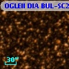 OGLEII DIA BUL-SC29   1319
