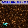 OGLEII DIA BUL-SC29   1716