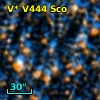 V* V444 Sco