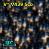 V* V439 Sco