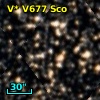 V* V677 Sco