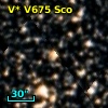 V* V675 Sco