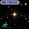 HD 239232