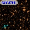NSV  9783