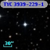 TYC 3939-229-1