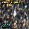 CPD-36  7659