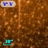 V* V1165 Sco