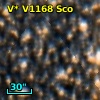 V* V1168 Sco