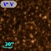 V* V1169 Sco
