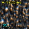 V* V1170 Sco