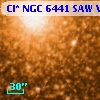 Cl* NGC 6441    SAW V40