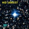HD 166037