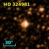 HD 324981