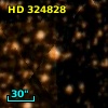 HD 324828
