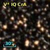 V* IQ CrA