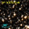 V* V371 CrA