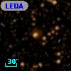 LEDA   96604