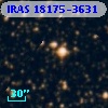 IRAS 18175-3631