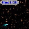 Plaut 3-28