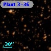 Plaut 3-36