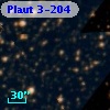 Plaut 3-204