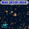 IRAS 18219-3631