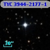 TYC 3944-2177-1