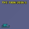 TYC 7406-2036-1
