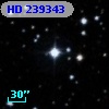 HD 239343