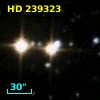 HD 239323