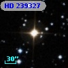 HD 239327