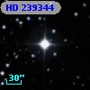 HD 239344