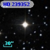 HD 239352