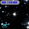 HD 239308