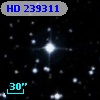 HD 239311