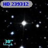 HD 239312