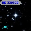 HD 239320