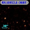 RX J1852.1-3607
