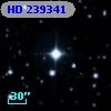 HD 239341