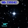 HD 239342
