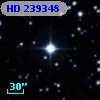 HD 239348