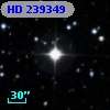 HD 239349