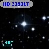 HD 239317
