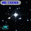 HD 239368