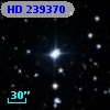 HD 239370