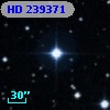 HD 239371