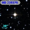 HD 239378
