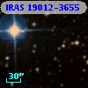 IRAS 19012-3655