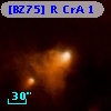 [BZ75] R CrA 1